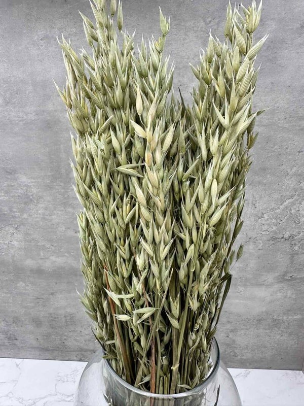 Avena Seca Natural
