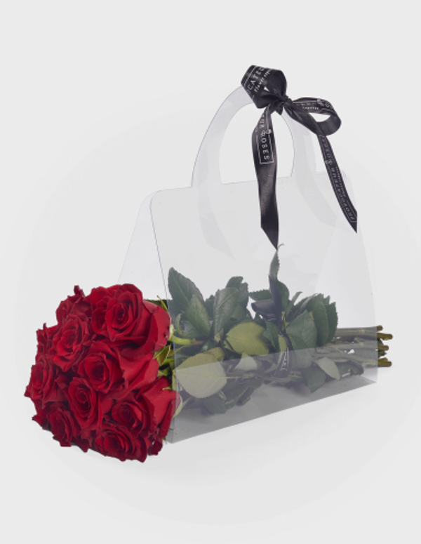 Bolsa PVC Nº 1
