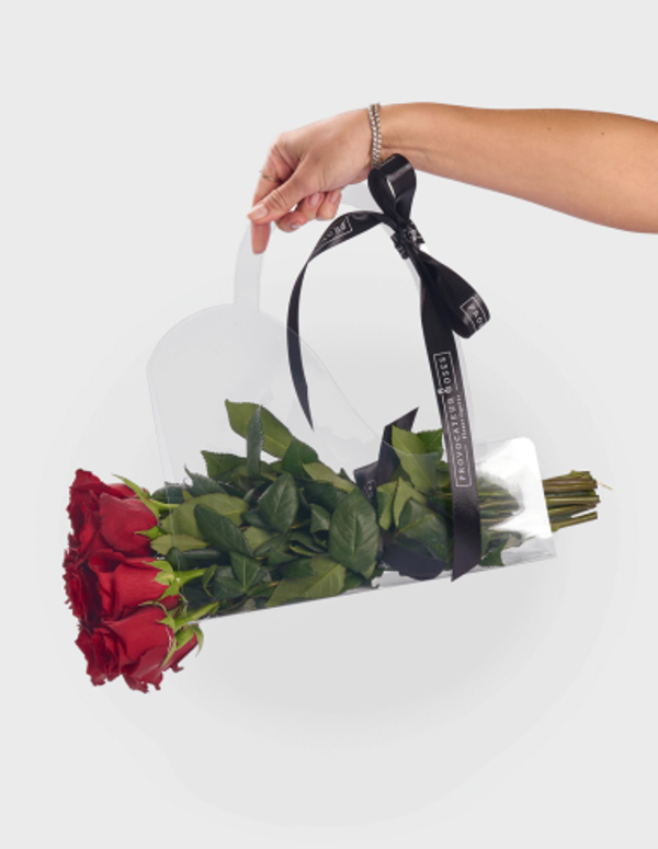 Bolsa PVC Nº 3