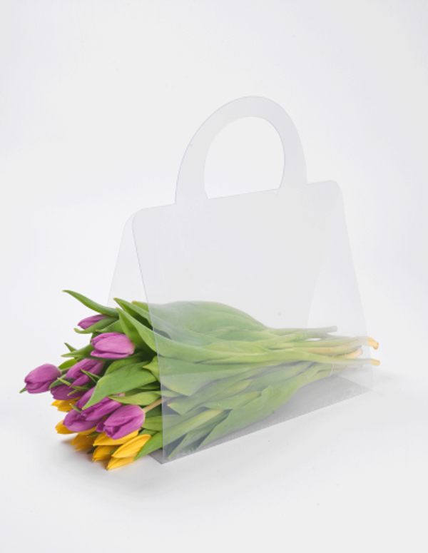 Bolsa PVC Transparente