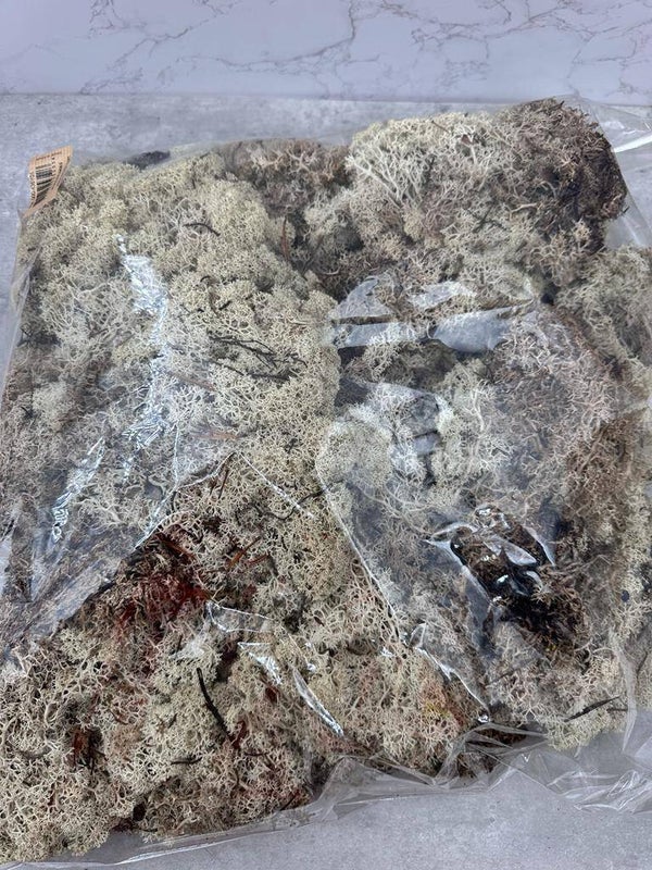 Musgo Finlandés Press Blanco Bolsa 250gr