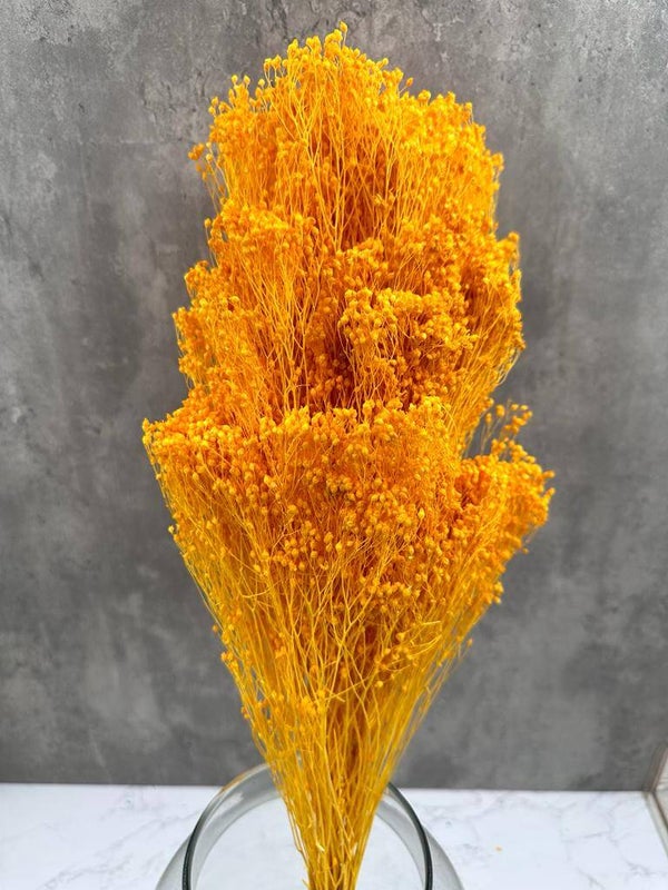 Brooms Blooms Naranja