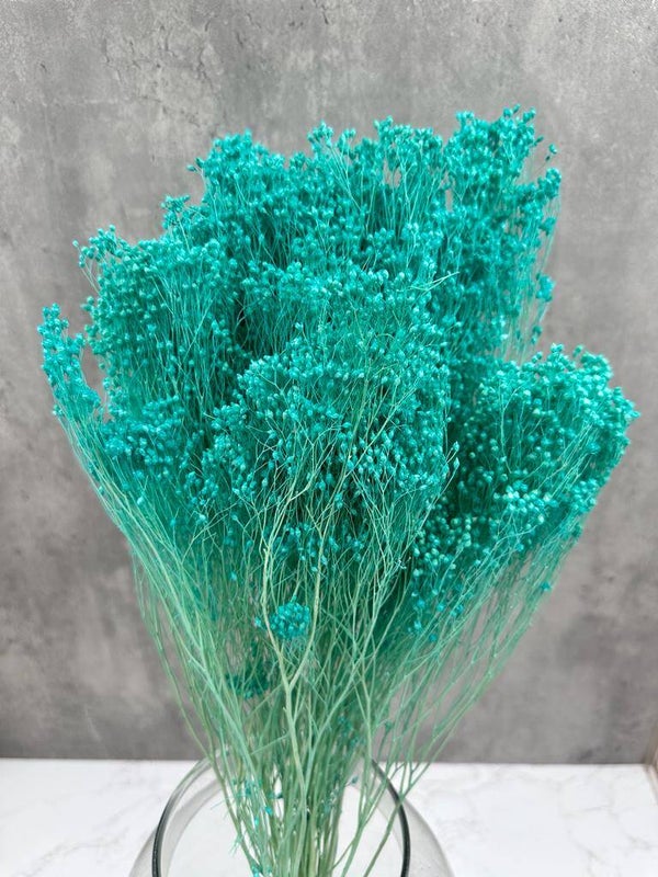 Brooms Blooms Turquesa