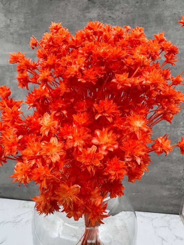 Hill Flower Naranja