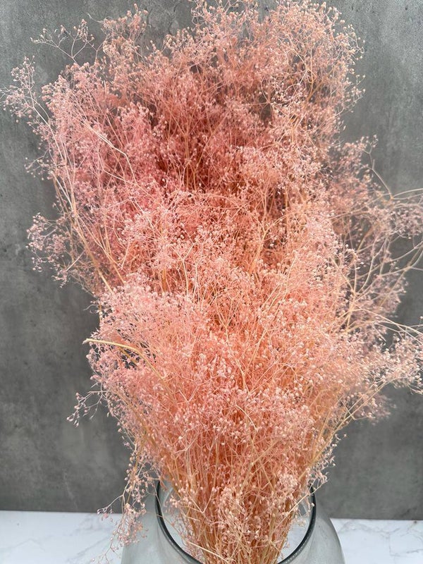 Gypsophila Mini Press Rosa Claro