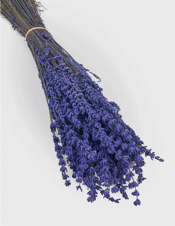 Lavanda preservada