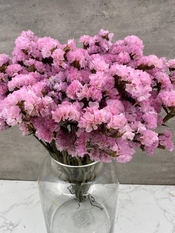 Statice Seco Rosa