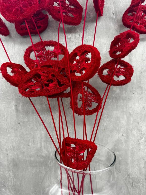 Lufa Roja