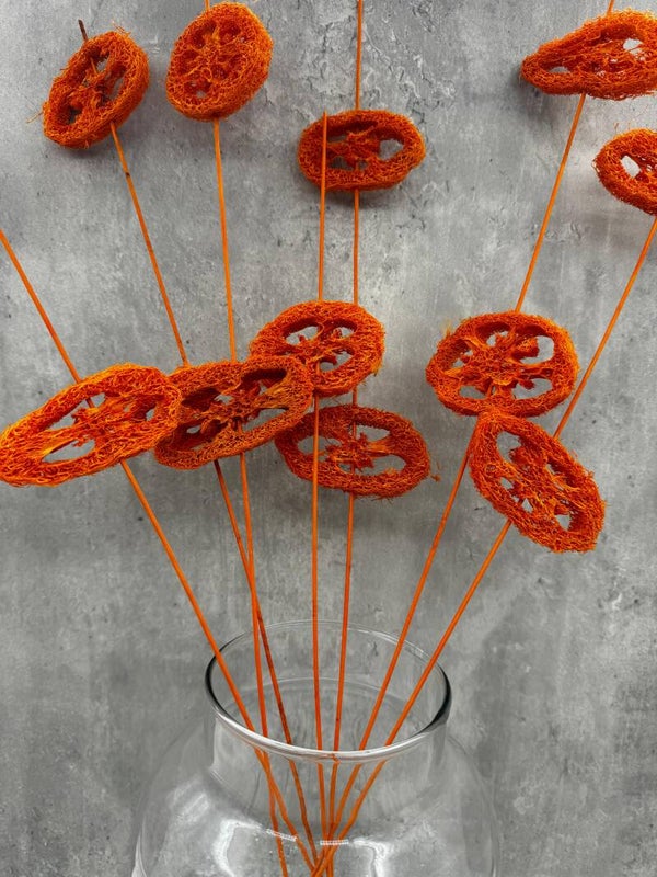 Lufa Naranja