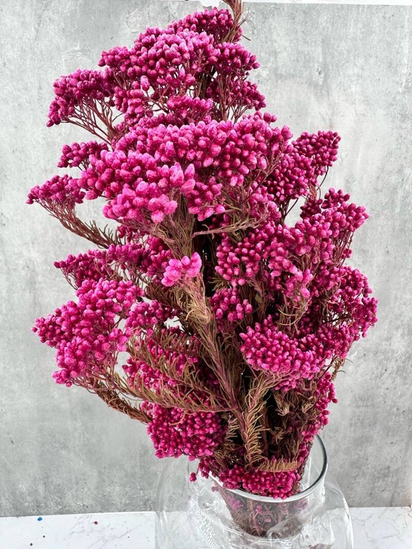 Rice Flower Press Fucsia