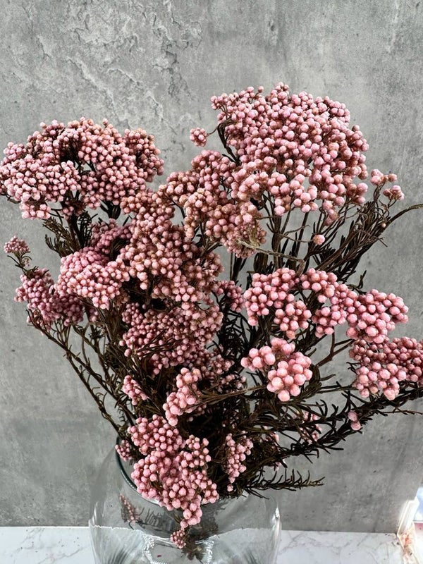 Rice Flower Press Rosa Claro