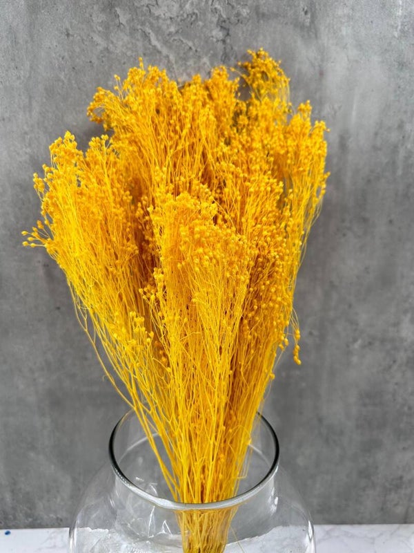 Brooms Blooms Amarillo