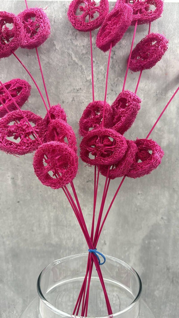 Lufa Fucsia