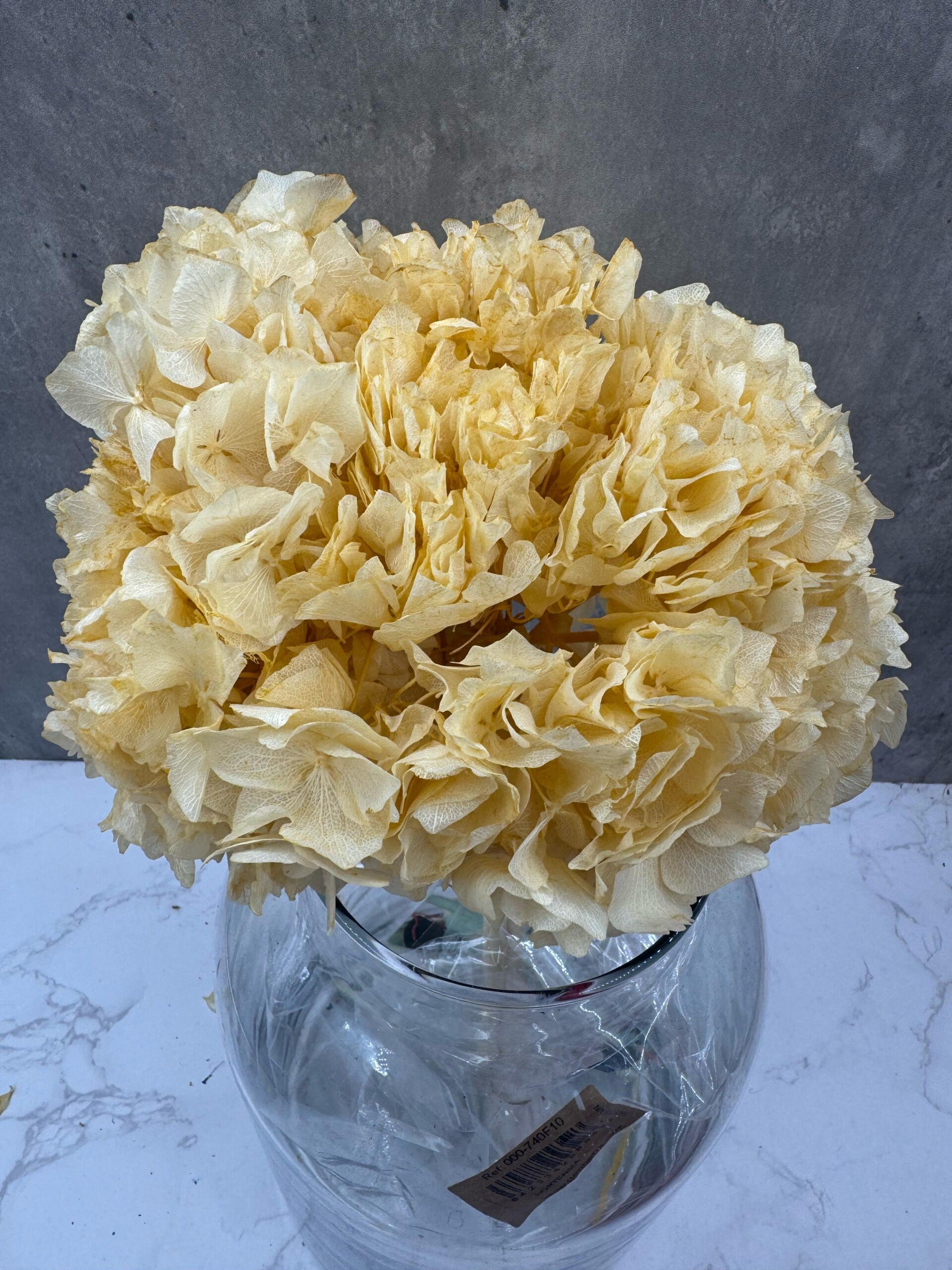 Hortensia Press Vainilla