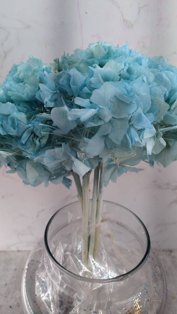 Hortensia Press Celeste