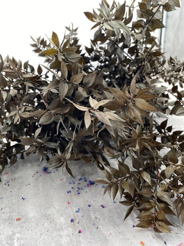 Ruscus Press Marrón Oscuro