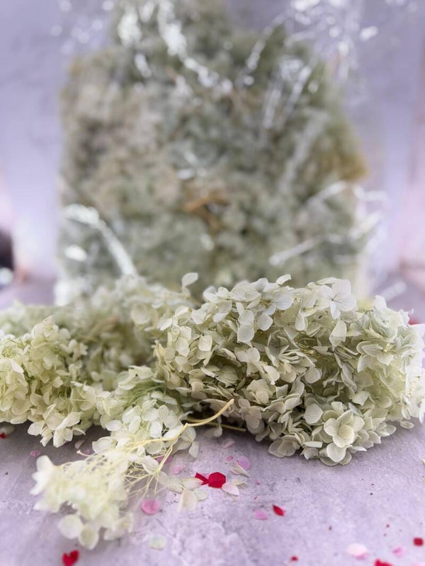 Bolsa Pizcotes de Hydrangea Verde Agua