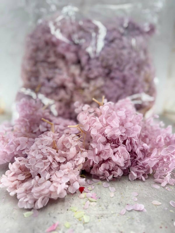 Bolsa Pizcotes de Hydrangea Morado