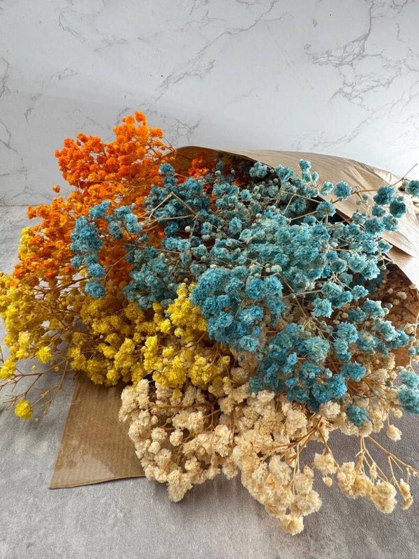 Mazo Paniculata Press Mix Rainbow