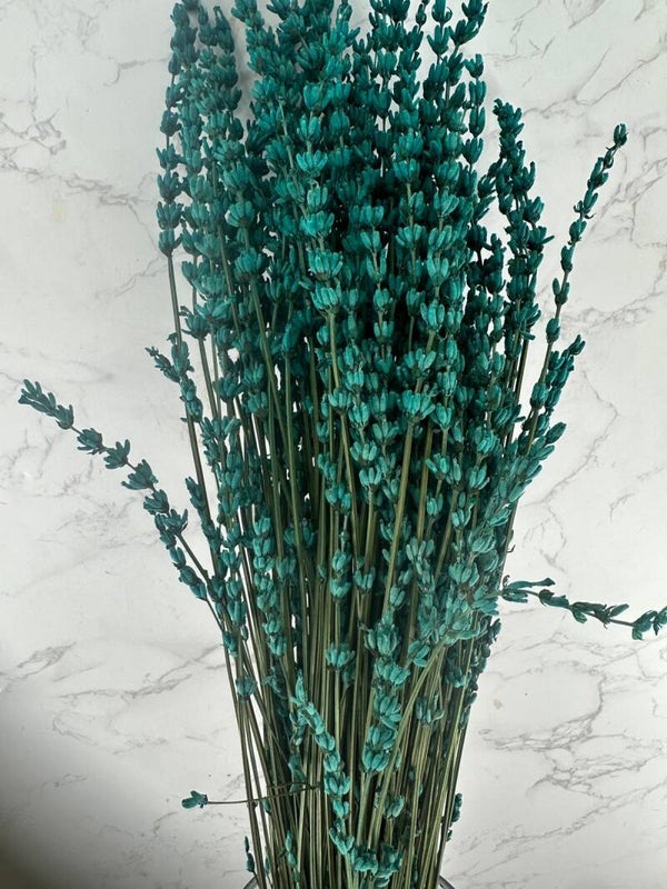 Lavanda Press Turquesa
