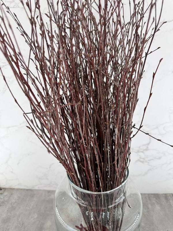 Berk Natural Seco