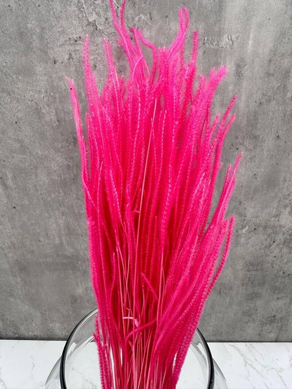 Ouro Press Fucsia