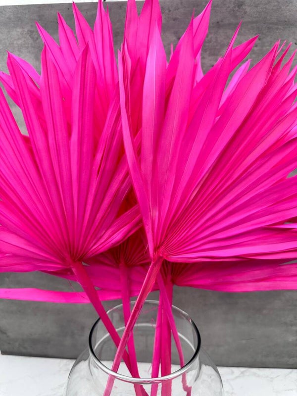 Palm Sun Fucsia