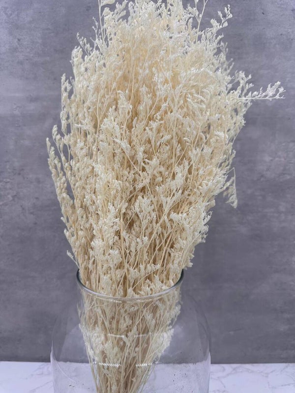 Caspia Blanqueada Press