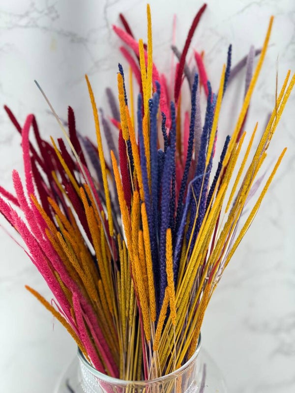 Phleum Press Arlequín