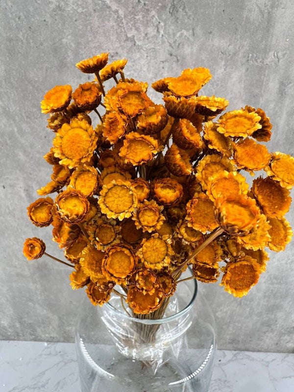 Margaret Naranja