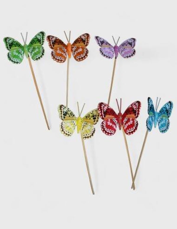 Pick mariposa Lucina