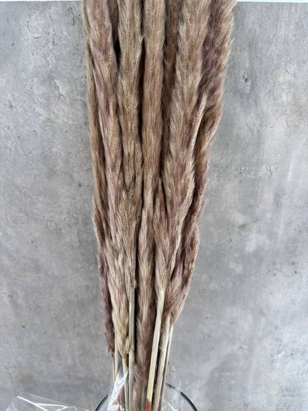 Pluma Decorativa Mini Natural
