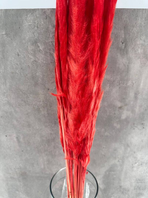 Pluma Decorativa Mini Roja