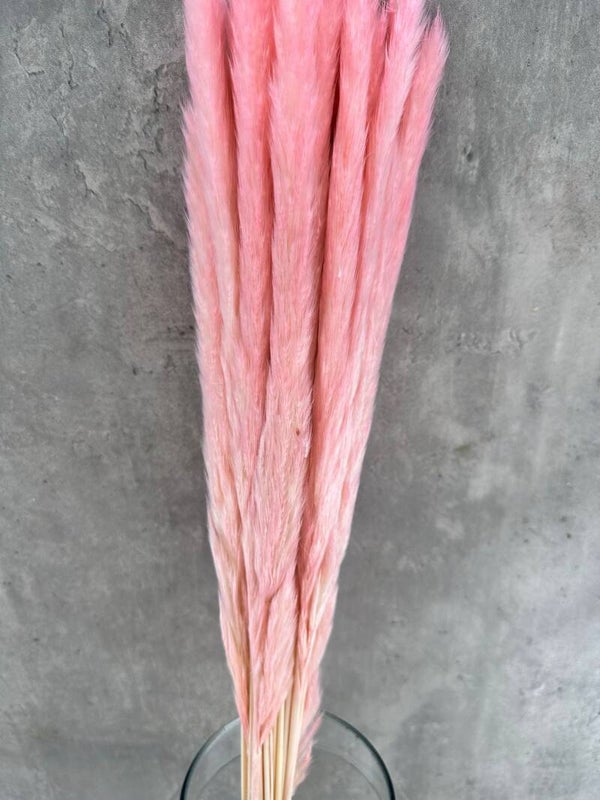 Pluma Decorativa Mini Rosa