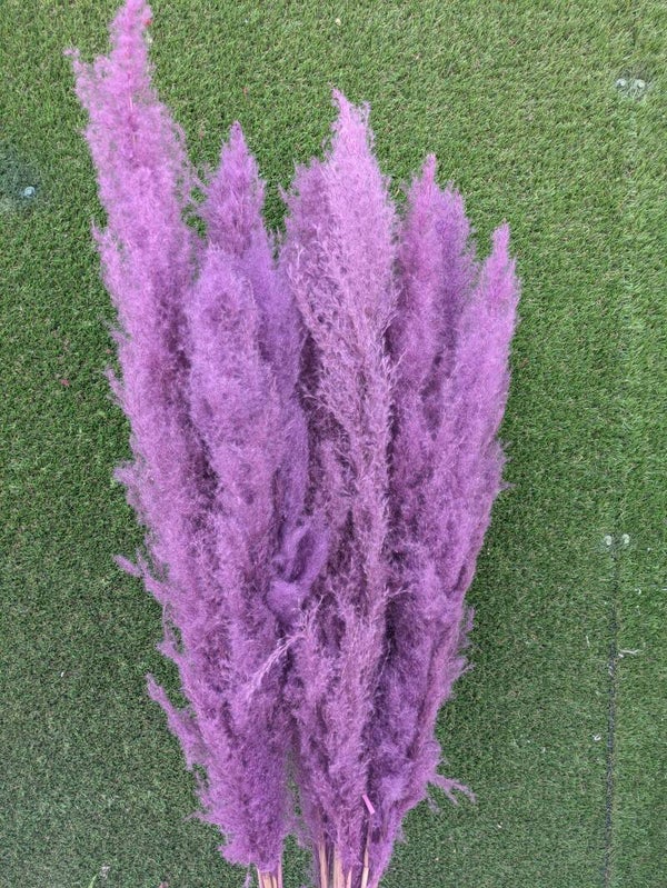 Pluma Extra 120cm Morada