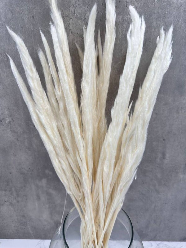 Pluma Decorativa Mini Blanca