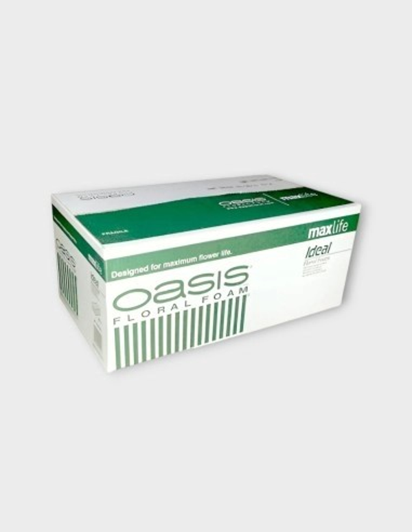 Esponja oasis 20 bloques