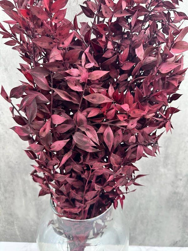 Ruscus Press Granate