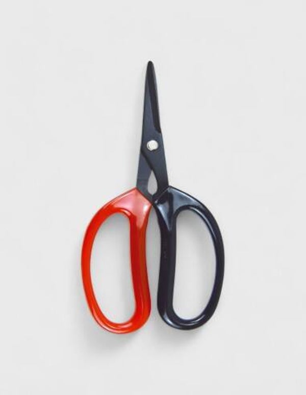 Tijeras para flores D