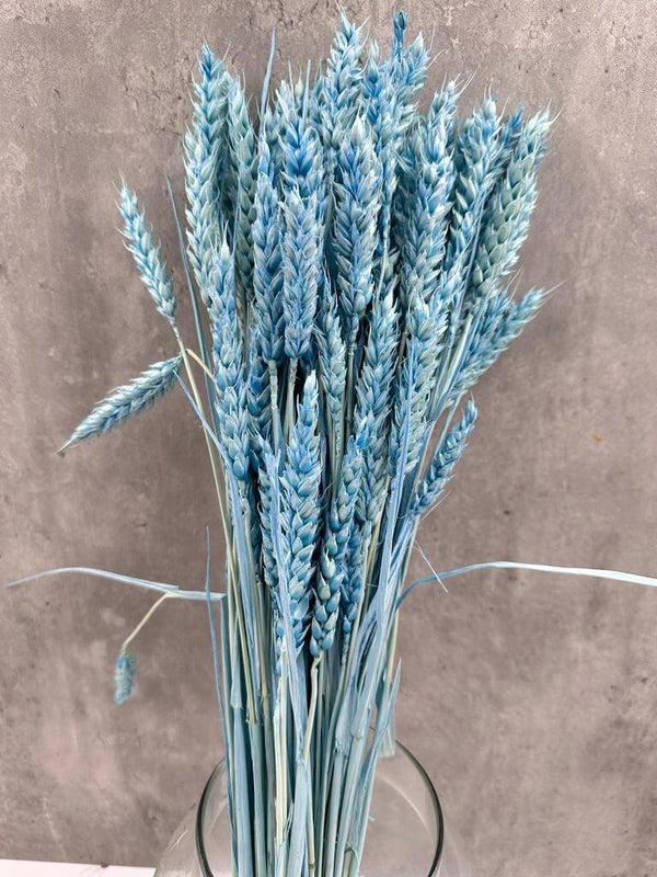 Trigo Flo Celeste
