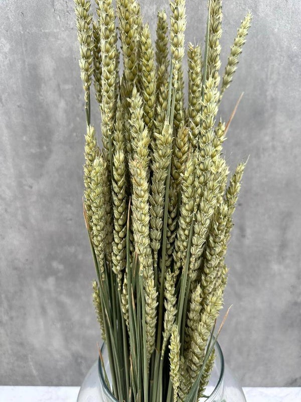 Trigo Flo Natural
