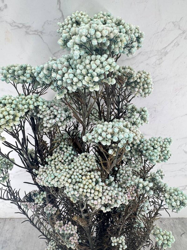 Rice Flower Press Celeste