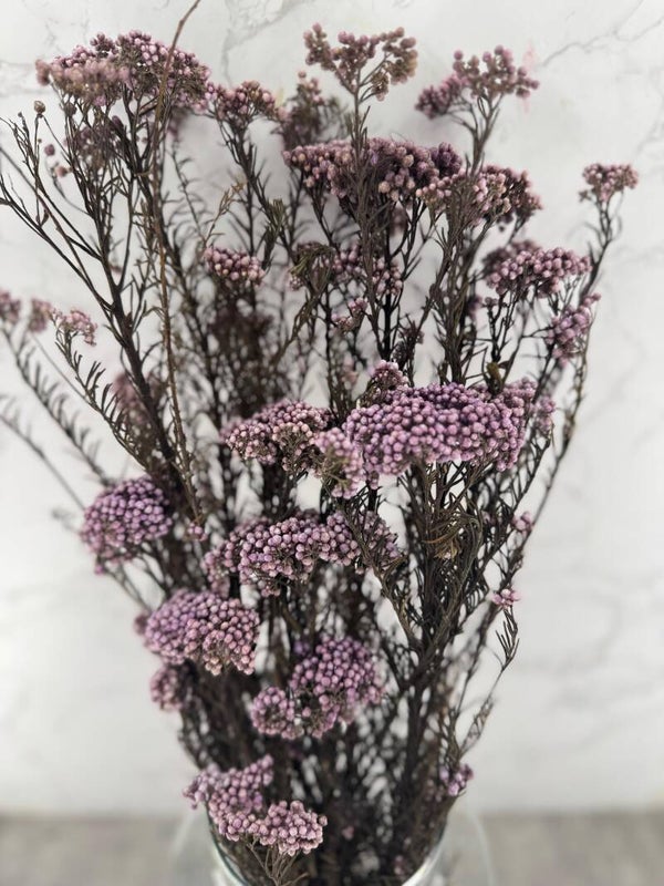 Rice Flower Press Morada