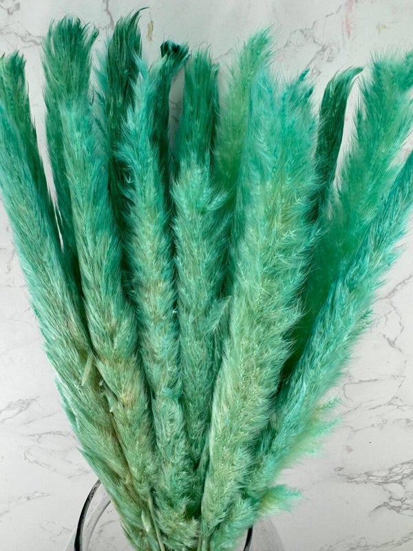 Mini Pluma Verde Agua
