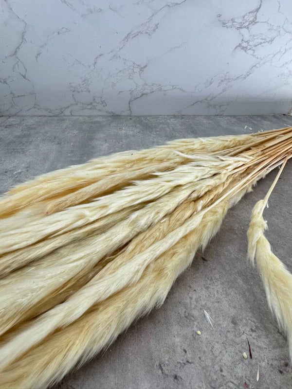 Pluma Mini Blanca