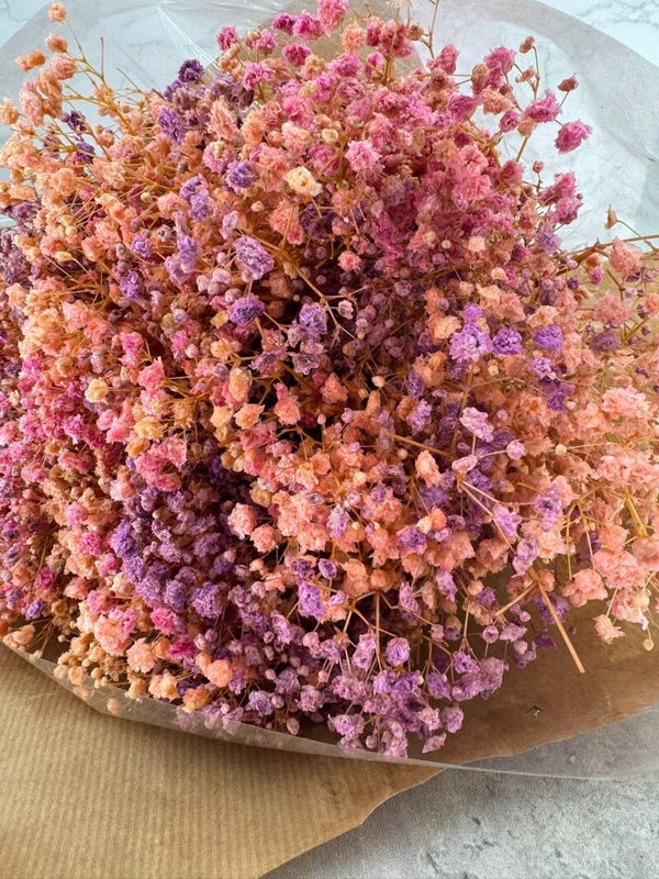Mazo Paniculata Press Rosa y Morado