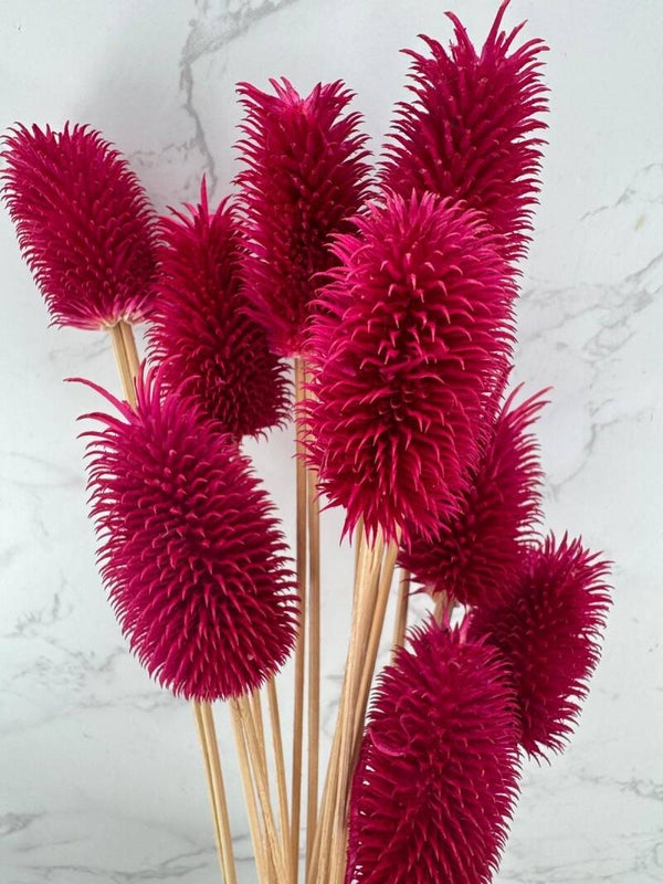 Cardo Mini Fucsia