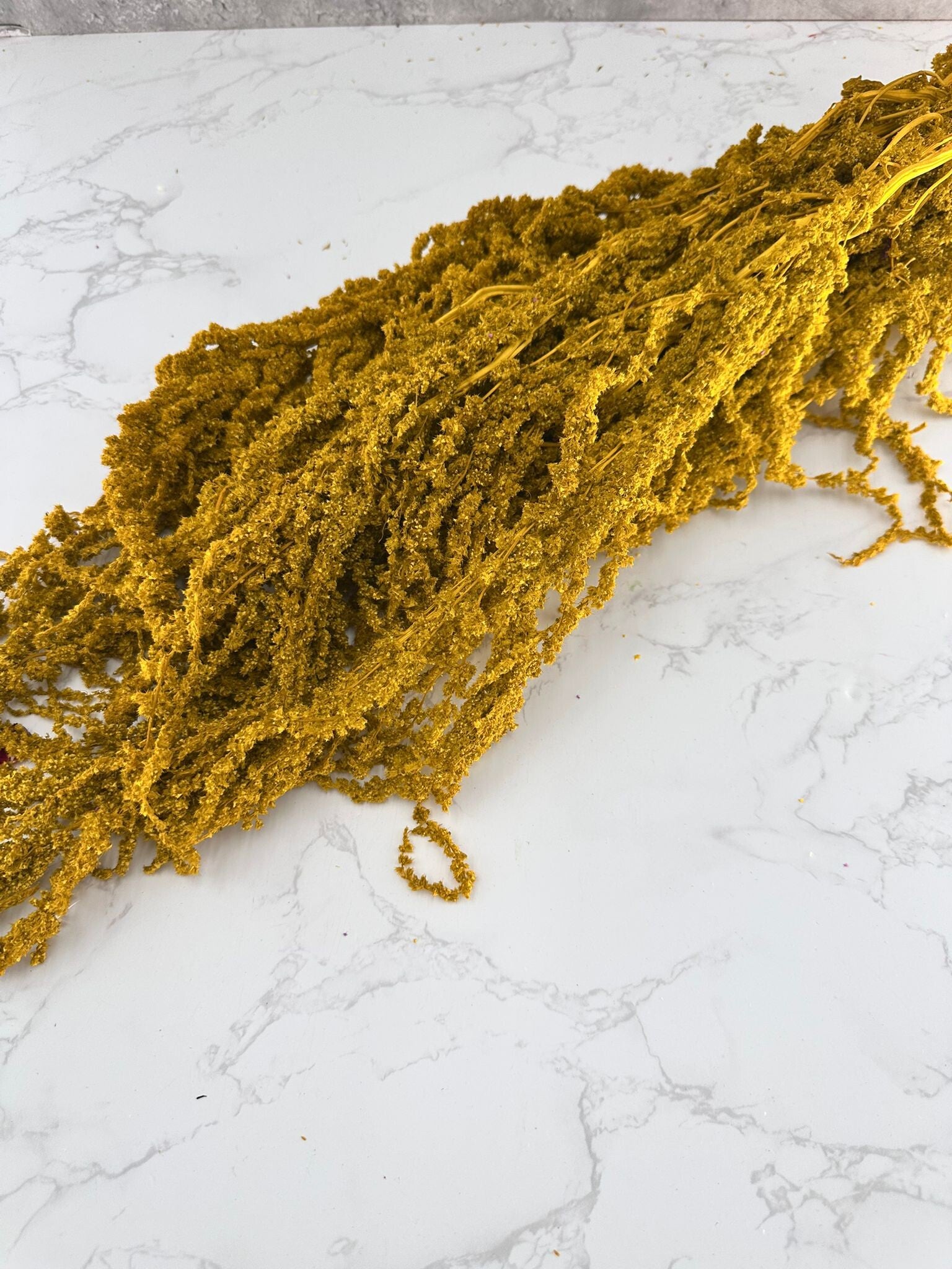 Amaranthus Colgante Amarillo