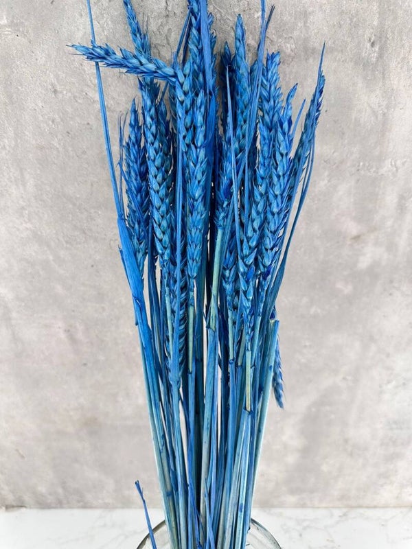 Trigo Flo Azul
