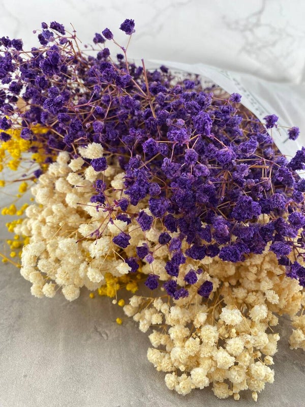 Gypsophila Press Blanca Morada y Amarilla